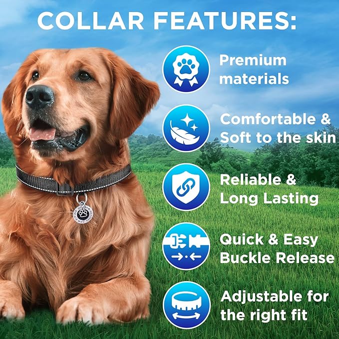 TECEUM Reflective Dog Collar – Black – XL – Basic Nylon Pet Collar – Quick Release Buckle – Fits Small, Medium and Large Dogs, Puppies, Cats – ESA & Service Dog Options