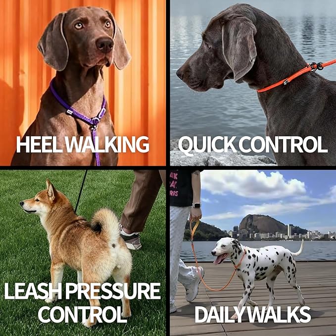 Dog Anti-Slip Leash 5FT with Metal Stopper - Durable No-Pull Training Lead for Small, Medium & Large Dogs - Comfortable Handle Nylon Rope, Tangle-Free Pet Walking Leash (Lake Blue, 5 FT)