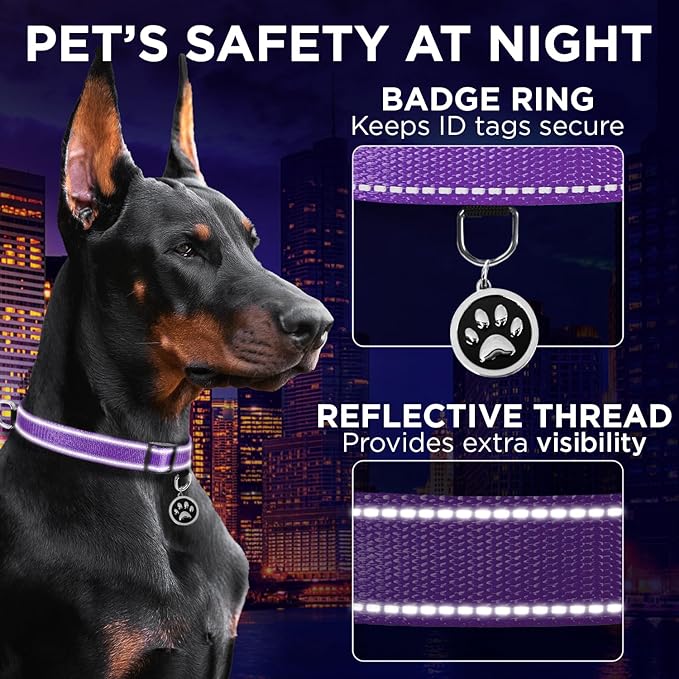 TECEUM Reflective Dog Collar – Purple – XL – Basic Nylon Pet Collar – Quick Release Buckle – Fits Small, Medium and Large Dogs, Puppies, Cats – ESA & Service Dog Options