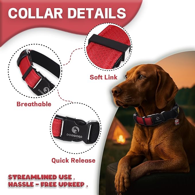 DOGWONG LED Dog Collar - Heavy Duty Light up Collars - Rechargeable Waterproof - Lighted Dog Collar for Night Walking, Hiking, Camping(Red,L)