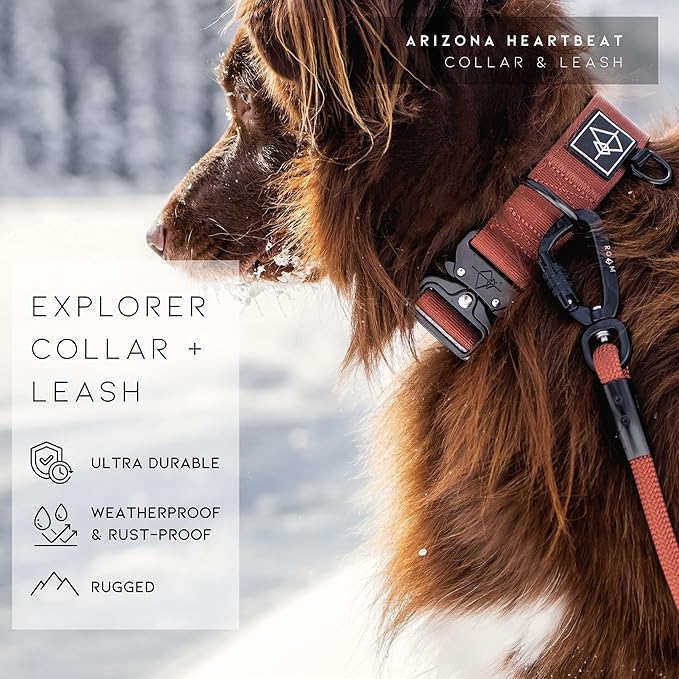 Made to ROAM Premium Dog Collar - Adjustable Heavy Duty Nylon Collar with Quick-Release Metal Buckle (Nevada Evening, Classic Size 3)