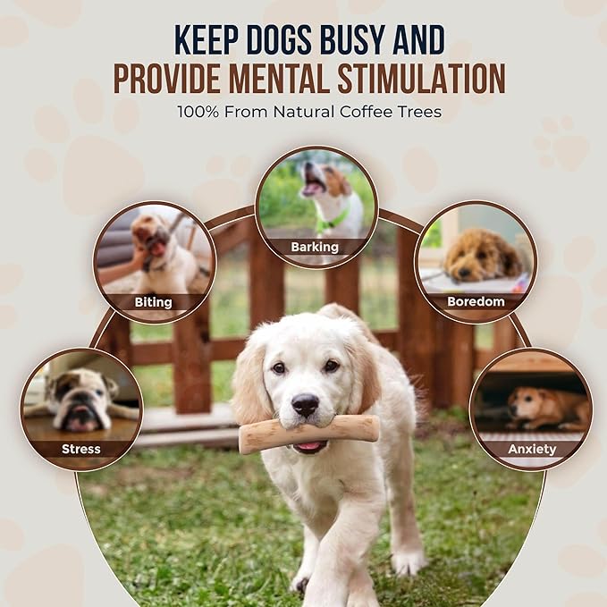 GOWGOW Coffee Wood Dog Chew Sticks 6.5" & Dog Rope Toys for Puppy - 100% Natural Puppy Chew for Teething, Organic Wood Stick - Size XS