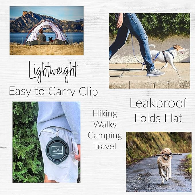 Lucky Love Dog Travel Bowl, Collapsible Compact Water Dog Dish (Grass)
