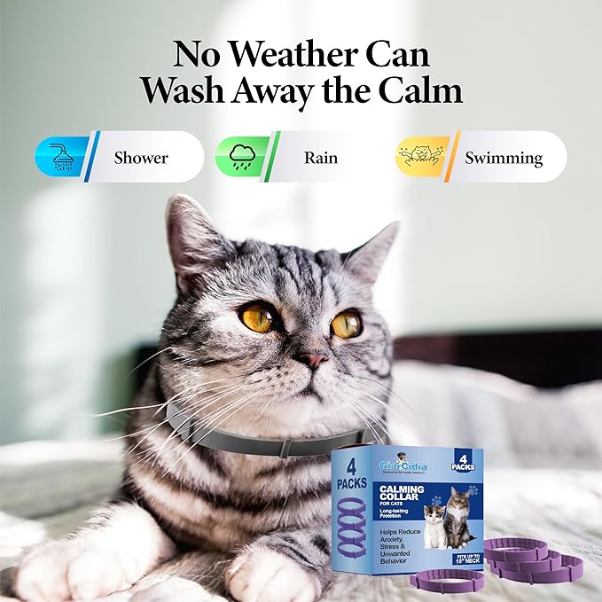 Soothing Cat Calming Collars - 2 Pack Grey Adjustable Collar for Anxiety Relief | Pheromone-Infused Comfort Collars for Cats | Lasts 30 Days | Ideal for Stressful Situations