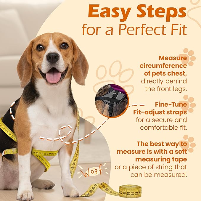 Bark Appeal Gray No-Pull Dog Harness for XS to Small Sized Pets – Adjustable, Reflective Vest with 3 Leash Clips for Added Control, Easy Walks & Training – S