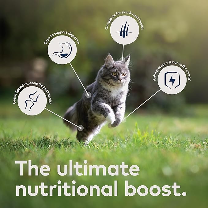 ZIWI Peak Wet Cat Food – All Natural, High Protein, Grain Free, Limited Ingredient, with Superfoods (Beef, Case of 6, 3oz Cans)
