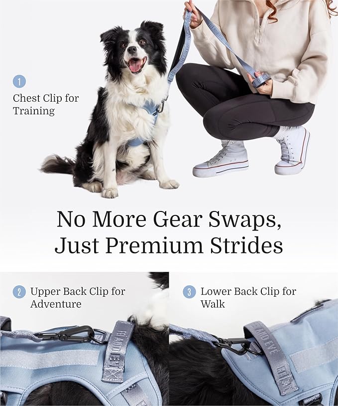 2025 New Edition, Fei & Eve MagEase Dog Harness - 3-Second Magnetic Buckles | 3-Point No-Pull Control | Heavy-Duty 900D Nylon | Dual Safety Handles | Breathable Mesh | Adjustable Fit | X-Large, Blue
