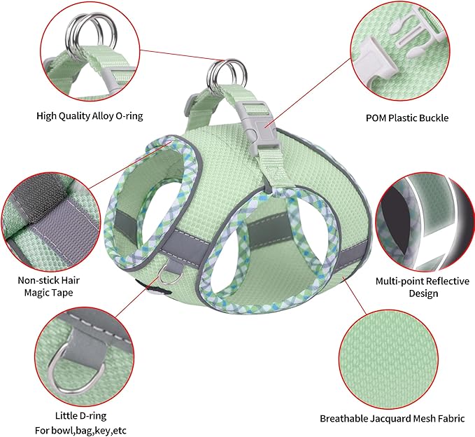 AIITLE Tiny Dog Harness - Lightweight Mesh Step-in Vest for Puppy, Reflective & Escape-Proof Design with High-Stick Magic Tape - Indoor/Outdoor Use for Chihuahua, Maltese, Shih Tzu(Sage, XXXS)