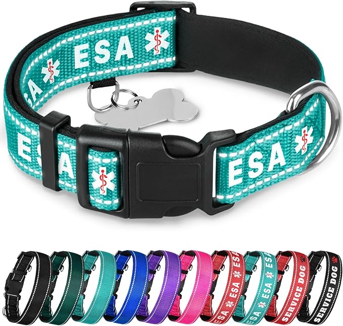 TECEUM Reflective Pet Collar – Teal - ESA – XS – Extra Soft Padding – Basic Nylon Dog Collar – Quick Release Buckle – Fits Small, Medium and Large Dogs, Puppies, Cats – ESA & Service Dog Options