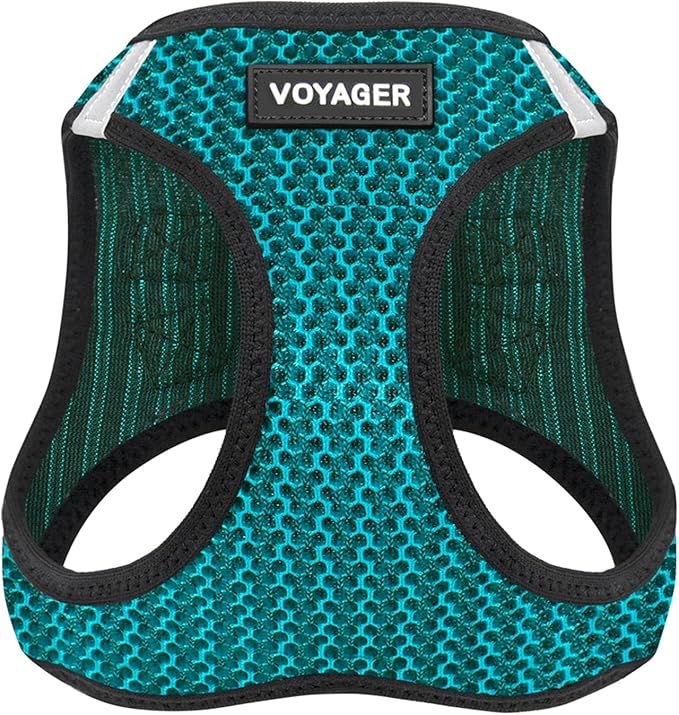 Best Pet Supplies Voyager Step-in Air Harness - All Weather Mesh, Reflective, No Pull Harness for Dogs, Cats - Secure with Hook & Loop Fastener, Buckle, Double D-Rings - Turqupise 2-Tone, L