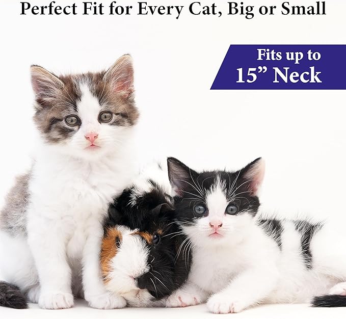 Soothing Cat Calming Collars - 2 Pack Grey Adjustable Collar for Anxiety Relief | Pheromone-Infused Comfort Collars for Cats | Lasts 30 Days | Ideal for Stressful Situations