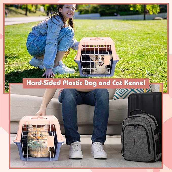 Locmeo 2 Set 18.9" Pet Carrier for Small Cats and Dogs, Hard Sided Plastic Cat Kennel for Pet with Front Door Security Lock Fully Breathable Travel Crate, up to 13 Lbs(Blue,18.9 x 12.6 x 11.8 Inch)