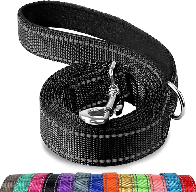 Joytale Double-Sided Reflective Dog Leash, 4 FT, Padded Handle Nylon Heavy Duty Leashes for Medium & Large Dogs Walking, Black
