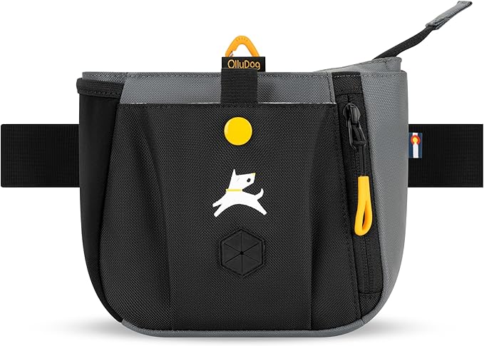 OllyDog Backcountry Day Bag | Hands-Free Dog Training Treat Pouch | Fanny/Hip Pack with Zipper Closure & Built-in Poop Bag Dispenser | Removable Waist Clip (Castle Rock)