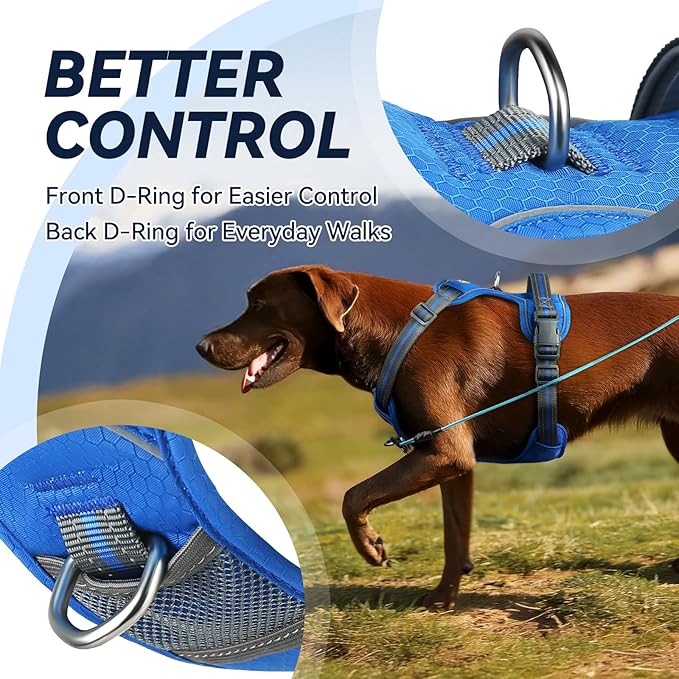 VIVAGLORY Dog Harness Easewalk No Pull Dog Harness with Handle & Front Back Clip for Training Lifting, Easy On Adjustable Padded No Pull for Pet & Puppy, M, Royal Blue