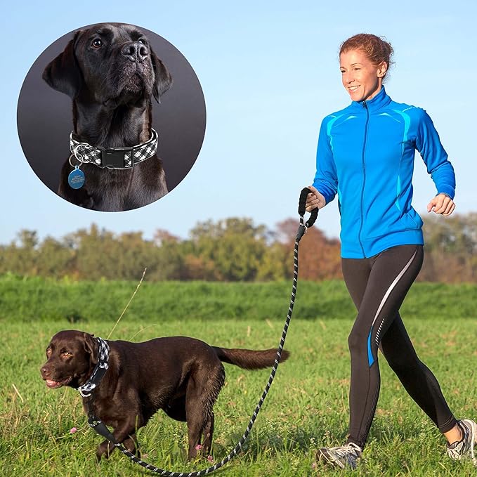 Reflective Dog Collar Padded with Soft Neoprene Breathable Adjustable Nylon Dog Collars for Small Medium Large Dogs (Medium (Pack of 1), Black Plaid Collar+Leash)