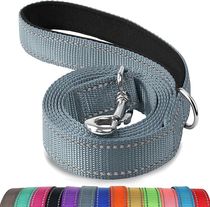 Joytale Double-Sided Reflective Dog Leash, 4 FT, Padded Handle Nylon Heavy Duty Leashes for Medium & Large Dogs Walking, Gary