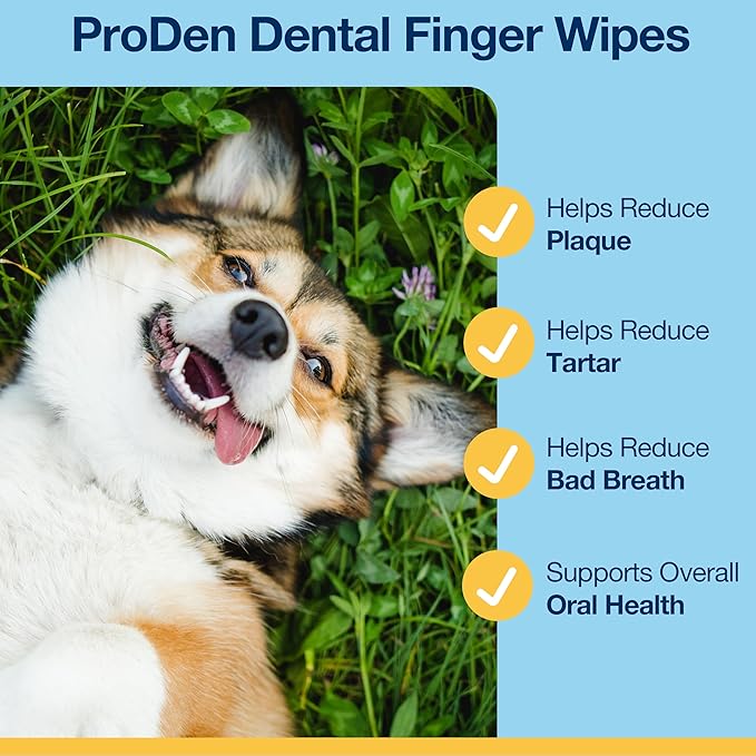 ProDen Dog Teeth Cleaning Wipes - Dog Plaque and Tartar Remover for Fresh Breath and Cleaner Gums - Pet Dental Finger Wipes for Easy, Convenient Oral Care - Fresh Apple & Mint Flavor (50 ct)