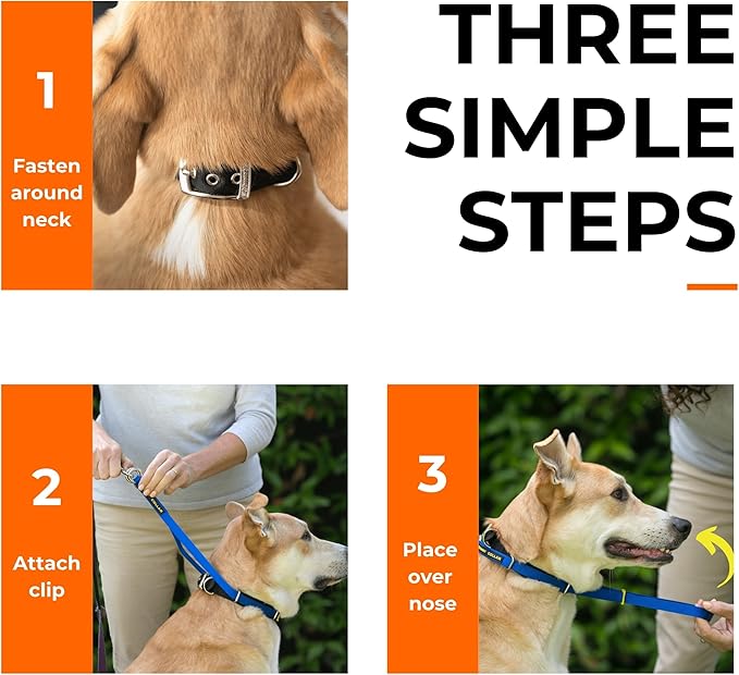 Canny Collar No-Pull Dog Head Collar | Train Your Dog to Stop Pulling & Walk On a Loose Leash | Gentle, Safe, Comfortable Training Aid | Medium Dogs | Black, Size 4