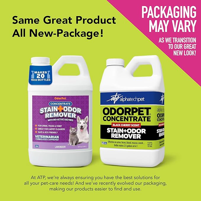 OdorPet Pet Stain Remover and Odor Eliminator - 64 Oz (Makes 2.55 Gallons of Working Solution) Non Staining, Professional Strength, Black Cherry Scent by Alpha Tech Pet