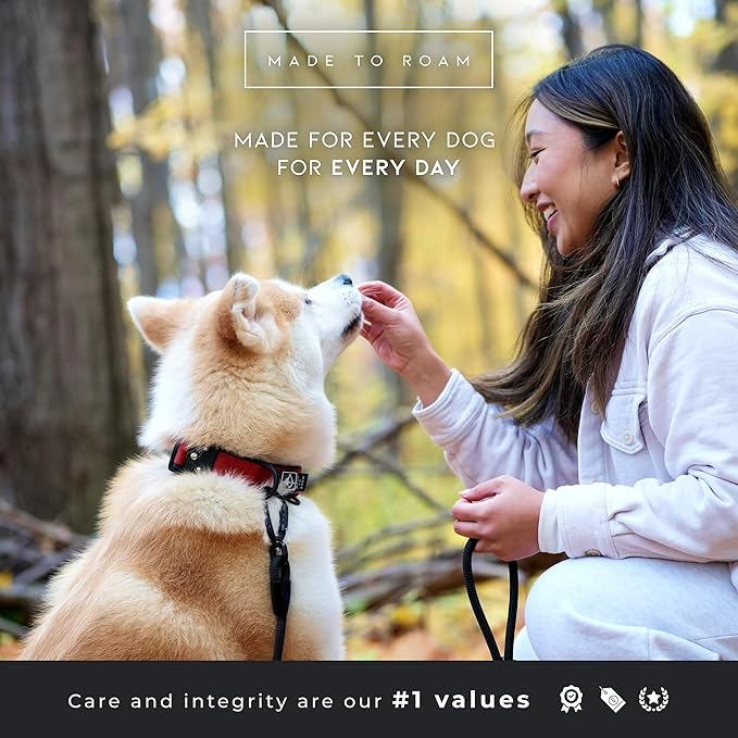 MADE TO ROAM Comfort Collar - Adjustable Nylon Dog Collar with Soft Comfortable Padding, Light Aviation Aluminum Metal Buckle for Small, Medium and Large Dogs (Vermont Weekend, Size 4)