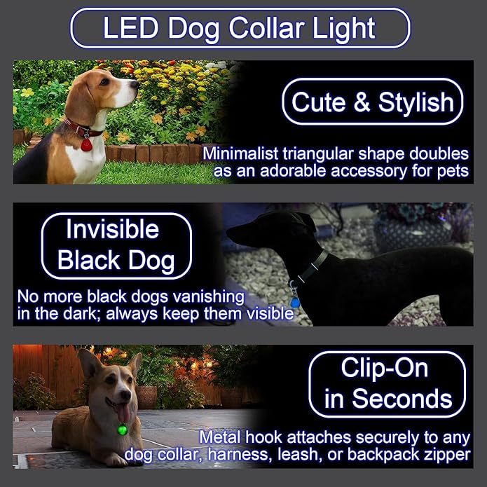 QUELIEN LED Dog Safety Pendant – Night Visibility, Durable, Long Battery Life, Easy Clip-on for All Dogs, Blue