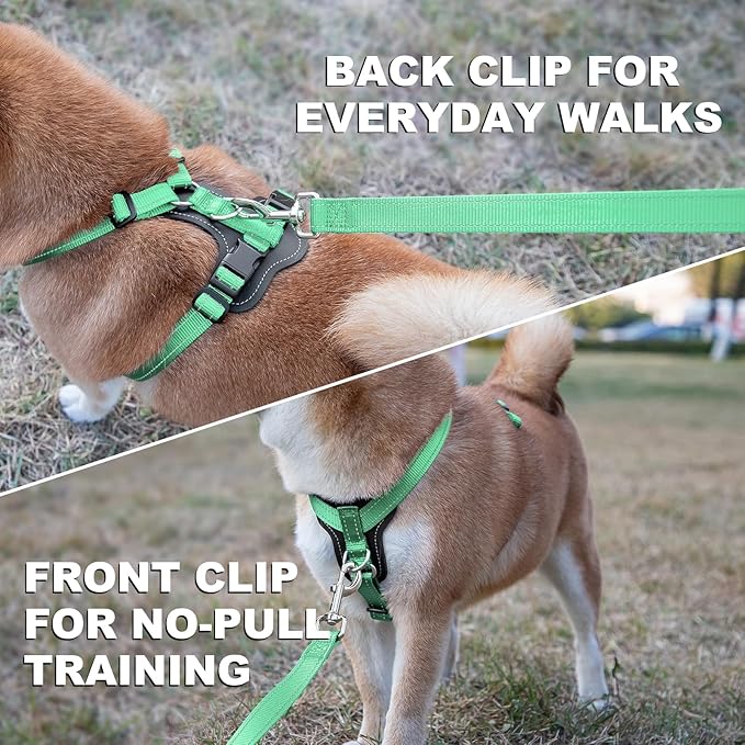 Plutus Pet Adjustable No Pull Dog Harness with Leather Accents, Heavy Duty Reflective Nylon Vest for Training, Hiking, Easy Walk Harness for Small, Medium, Large Dogs (Teal, XL)