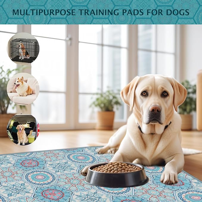 IEUUMLER Washable Pee Pads for Dogs, 2 Pack Non-Slip & Waterproof Pack Whelping Pad, Reusable Washable Puppy Potty Training Pad with Fast Absorbent for Playpen EU007 (Green Medallion, 42"X28"-2pcs)