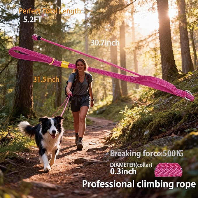 Dog Slip Lead Dog Leash,Fine Webbing Training Leash, No Pulling Slip Leash Collar,Heavy Duty&Durable,Padded Handle,Easy-Control for Small,Medium or Large Dogs,5FT (Pink, 5FT)