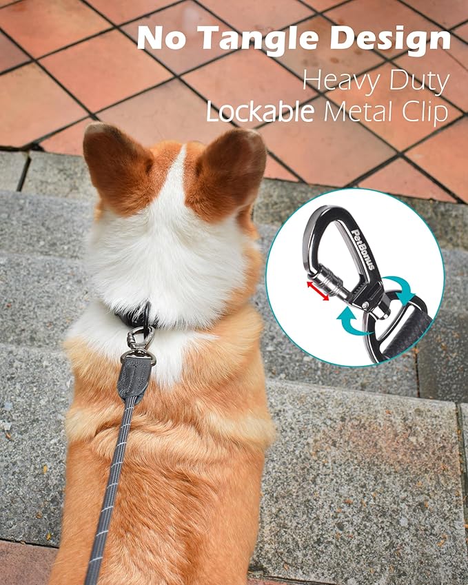 PetBonus Double Handle Rope Dog Leash, 5FT Heavy Duty Training Lead with Lockable Hook and 2 Comfortable Padded Handles, Reflective Walking Nylon Leash for Small Medium Dogs (11-55 lbs, Black)