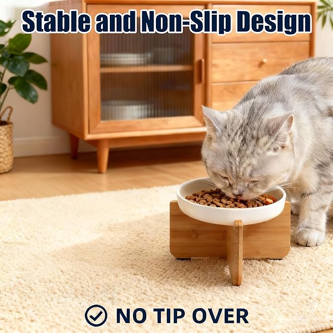 Shallow Elevated Cat Bowls with Bamboo Stand, 6.1 Inch Wide Ceramic Cat Dish Whisker Friendly, 2 Pack Pet Food and Water Plates