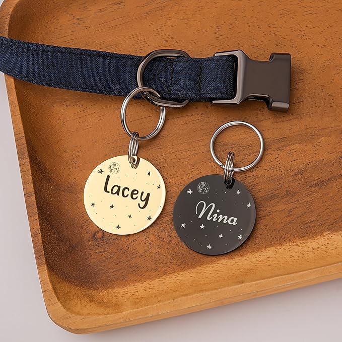 Anavia Small Size Dog Cat ID Tags, Small/XS Personalized Color Plated Stainless Steel Puppy Kitten Name Tags, Customized Engraved Nameplate Pet Collar Tag (Silver, Round)