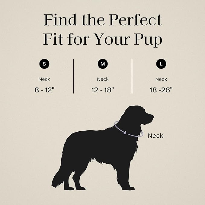 2025 New Edition, Fei & Eve PVC MagEase Dog Collar - Patented Magnetic Buckles | Fur-Safe | 450LB Escape-Proof | Adjustable Fit | Small (Champagne)