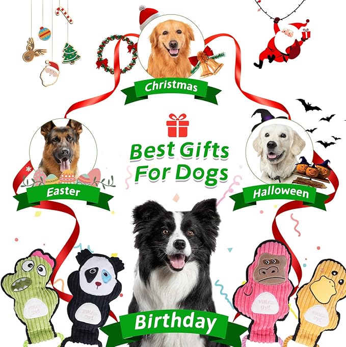 Grnstf 2-Pack Squeaky Dog Toys & Tough Tug of War Set - No Stuffing Chew-Resistant Plush Toys to Keep Them Busy, Best Birthday Gift for Small/Medium/Large Breeds (Ducks & Dino)