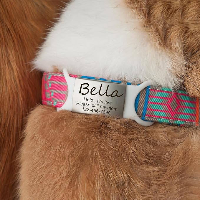 Anavia Slide On Silent Pet ID Tags, S/M/L/XL Personalized Multi-Color Silicone Band Cat Dog Name Tags, Customized Engraved Stainless Steel, Chew-Proof Quiet Dog Collar Tags (Medium, Blue)
