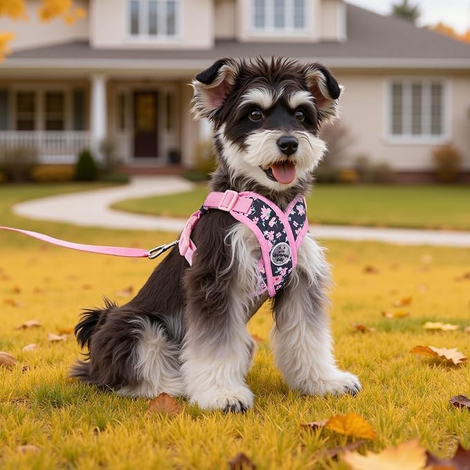 Patas Lague Dog Harness with Leash Set Adjustable Soft Padded Step-in Dog Vest No Choke No Pull Reflective for Small Medium Pets with Poop Bags and Dispenser, Solid and No-chew, Floral Pink M