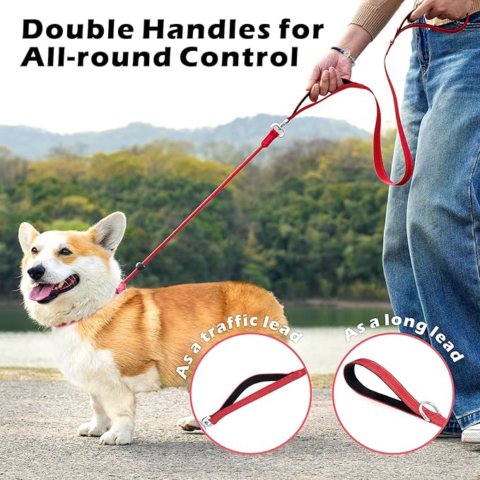 6FT Slip Lead Dog Leash with Double Padded Handle, Anti-Tangle Slip Leads for Dogs, Reflective Nylon No-Pull Training Leash for Small Medium Dogs, Red