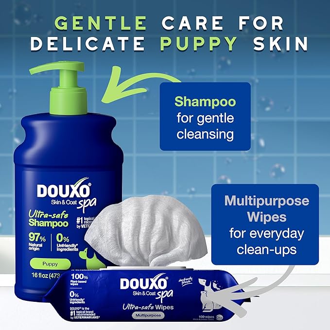 DOUXO® Skin & Coat SPA – Ultra-Safe Combo for Puppies, Puppy Shampoo (16 fl oz, Gently Cleanses & Hydrates Delicate Skin) + Multipurpose Wipes (100 Count, Refreshes Coat)
