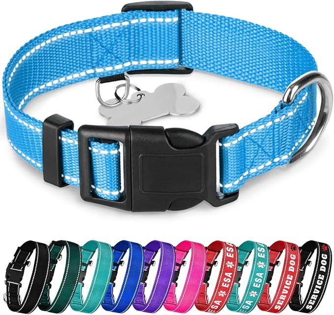 TECEUM Reflective Dog Collar – Sky Blue – M – Basic Nylon Pet Collar – Quick Release Buckle – Fits Small, Medium and Large Dogs, Puppies, Cats – ESA & Service Dog Options