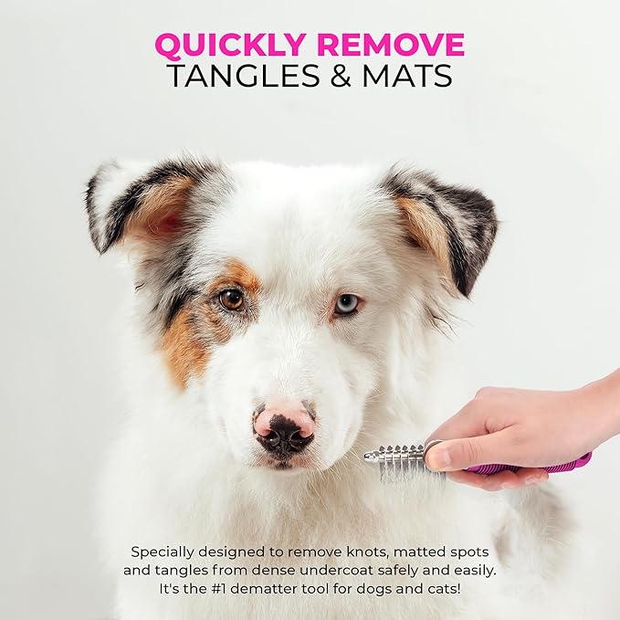 Poodle Pet Bundle - Dematting Fur Rake Comb Brush Tool with Steel Safety Blades and Detangling Pet Comb with Long + Short Stainless Steel Teeth for Detangling Matted or Knotted Undercoat Hair (Pink)