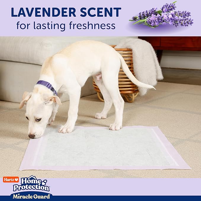 Hartz Home Protection Miracle Guard Lavender Scented Dog Pads, Regular Size 50 Count, 24 Hour Use, Won't Leak and Odor Eliminating