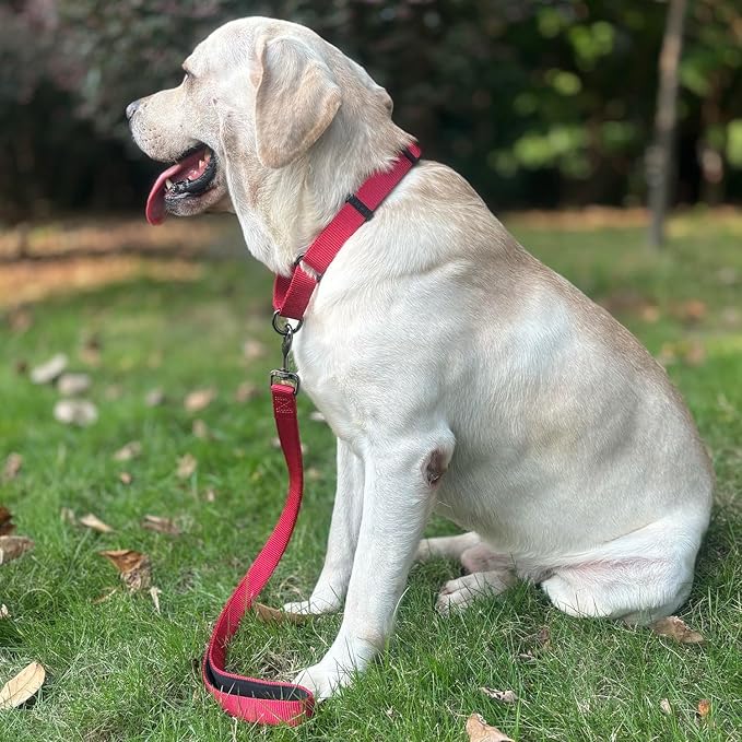 Premium 24 Inches Nylon Short Dog Leash with Heavy Duty Clasp and Comfort Padded Handle for Large Medium Breed Dogs Daily Use Jogging,Walking,Training etc... (24 Inches, Chili Pepper)
