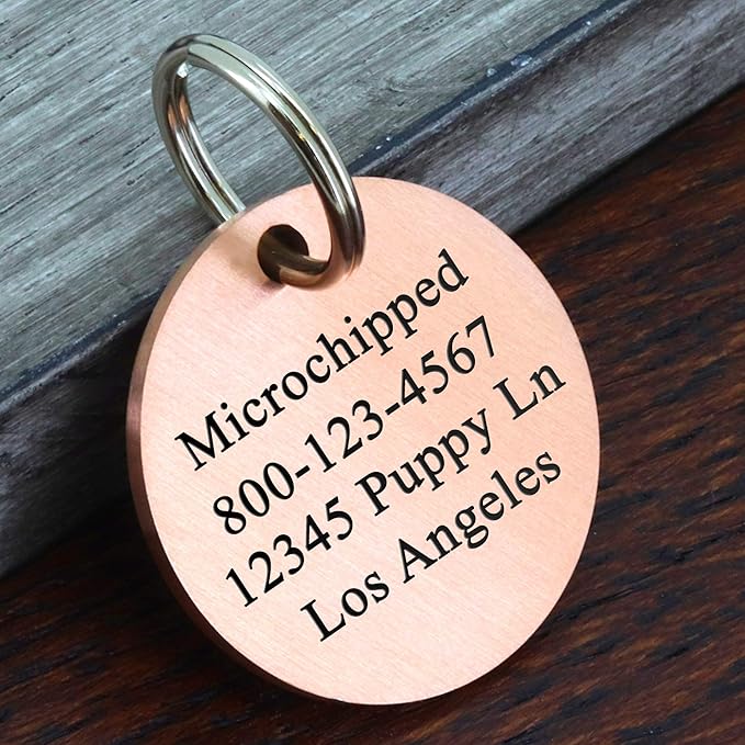 Ultra Joys Personalized Stainless Steel Dog and Cat Tags, Front and Back Engraving, Round Tag with Vine Design, Rose Large