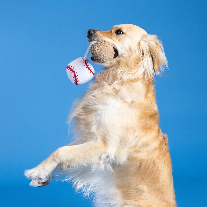 Fringe Studio Plush Dog Toy with Rope, Batter UP, Pet Shop Collection (314243)