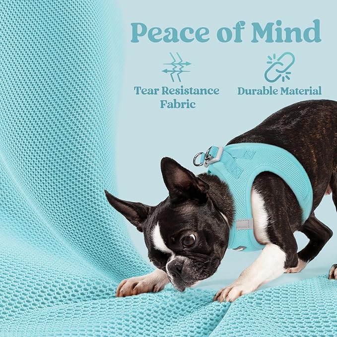 rabbitgoo Small Dog Harness, Step-in Soft Mesh Puppy Vest with Safety Buckle, Breathable Reflective Pet Harness for Extra Small Dogs, Mint Blue XXS