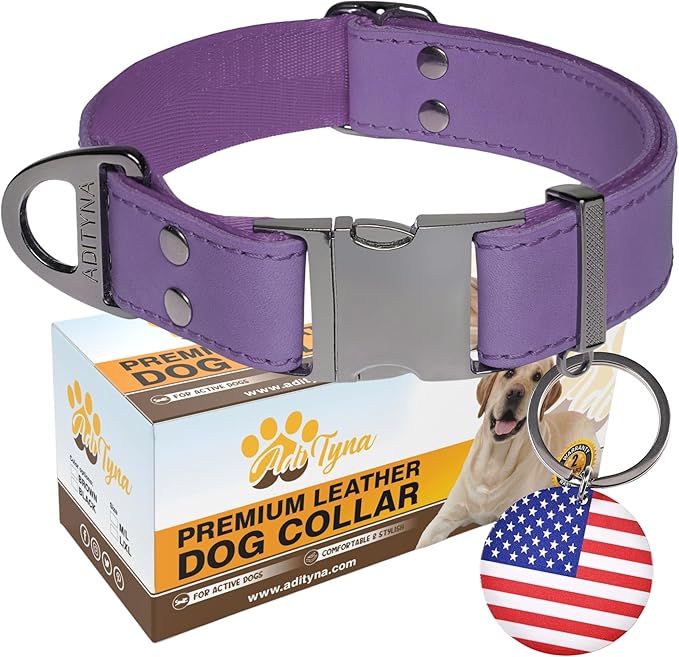 ADITYNA Leather Dog Collar with Metal Buckle - Heavy-Duty, Adjustable for Medium & Large Dogs - Walking, Training, Hiking (Purple, Fits 15-21" Necks)