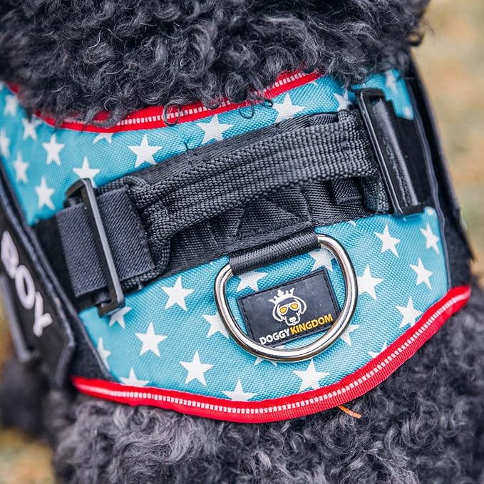 Personalized No-Pull Dog Harness with Name Patch, Adjustable, Reflective, Padded, Heavy Duty Pet Vest to Prevent Tugging, Pulling, or Choking, Training and Walking, Green, S