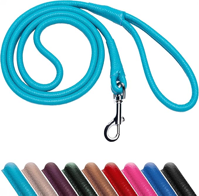 OOPSDOGGY Rolled Leather Dog Lead 6ft Heavy Duty Training Leash for Small Medium Large Dogs & Puppy Black Brown Red (Blue, Large)