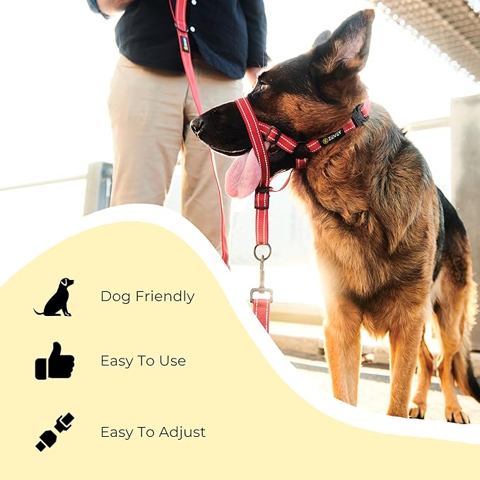 Adjustable Dog Head Halter with Safety Strap, Soft Padded Dog Head Collar for Small Medium Large Dogs, No-Pull Dog Harness for Training and Walking (Large, Black)