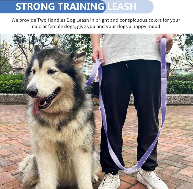 Strong Heavy Duty Dog Leash - 5ft Reflective Nylon Training Leash with Soft Padded Double Handle & Auto Lock Frog Clip, Safety Traffic Control for Large Medium Small Dogs No Pull Walk Light Purple,5ft